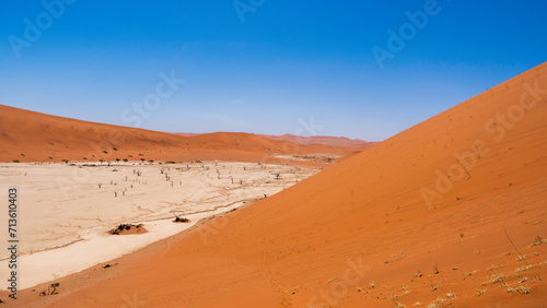 Deadvlei Clay Pan, Namib-Naukluft National Park, Namibia