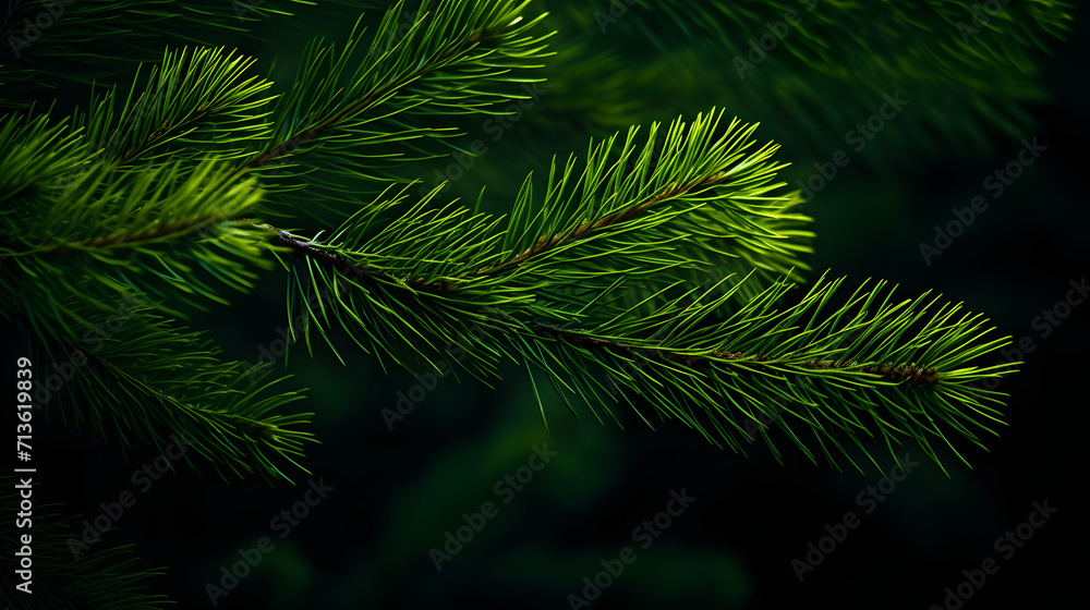 Photo of bright green pine needles set against dark, shadowy background. Ai Generated