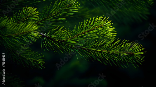 Photo of bright green pine needles set against dark  shadowy background. Ai Generated