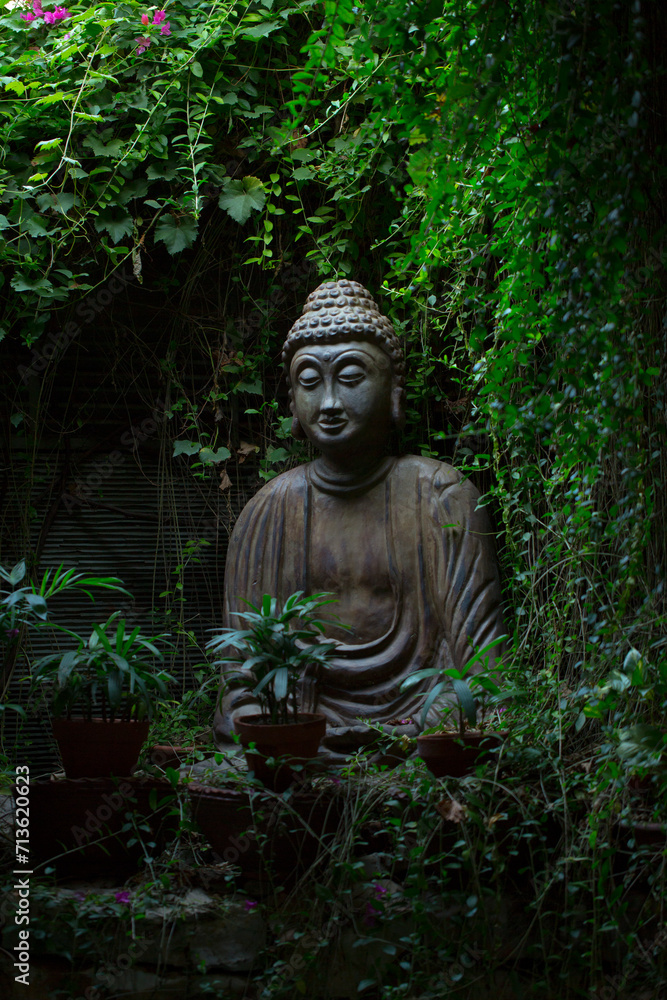 Buddha statue in a lush green foliage