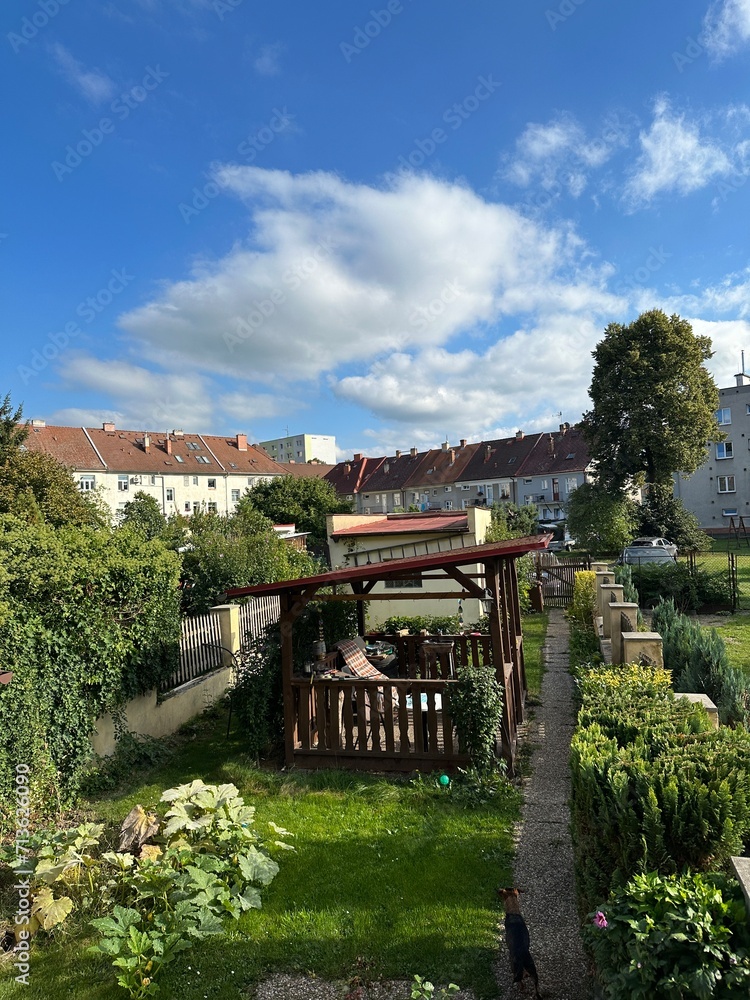 Obraz premium pictures 