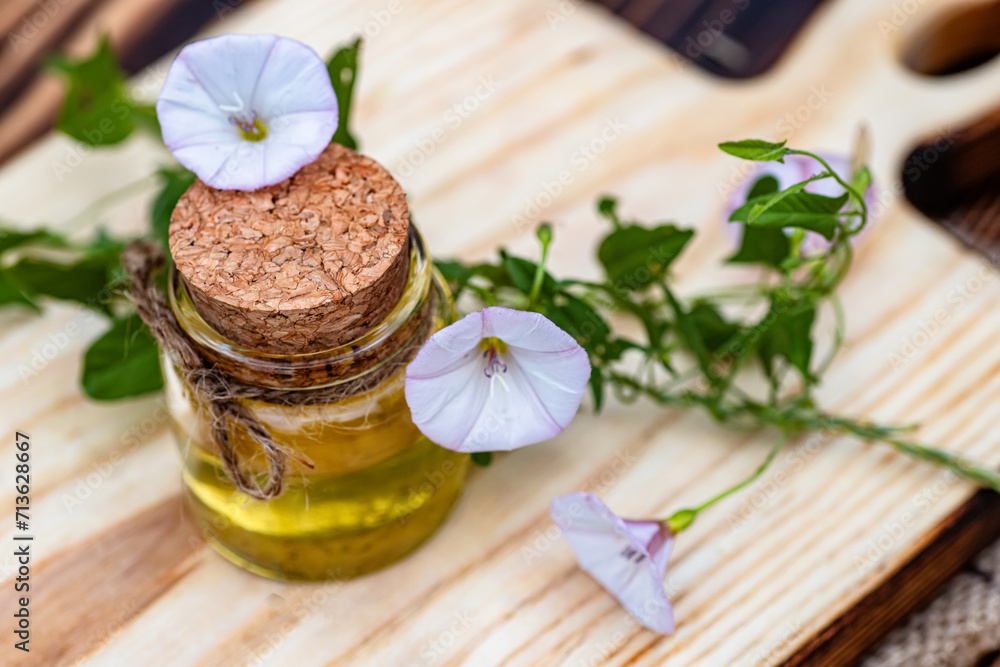 Convolvulus arvensis, or field bindweed near a medicine vial with a cork stopper with an elixir from an infusion of herbs. Convolvulus arvensis, or field bindweed near a medicine vial with a cork stopper with an elixir from an infusion of herbs.