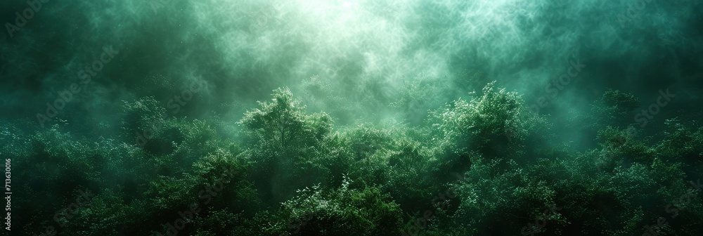 Dark Green Glowing Grainy Gradient Background, Background Image, Background For Banner, HD