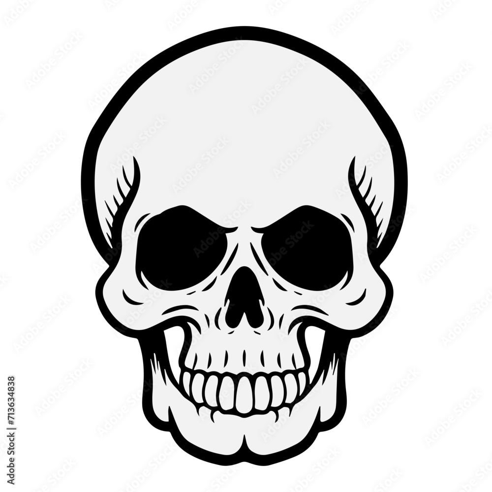Skull vector illustration Skull vector illustration