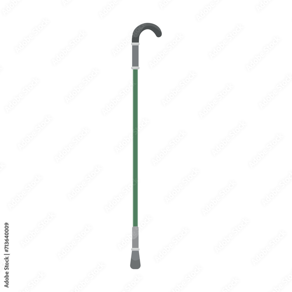 Walking stick on white background Walking stick on white background