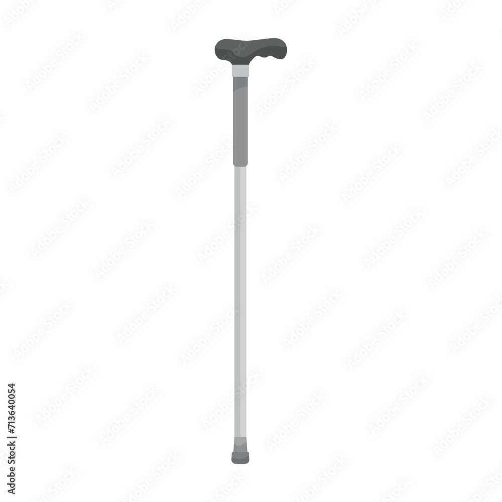 Walking stick on white background Walking stick on white background