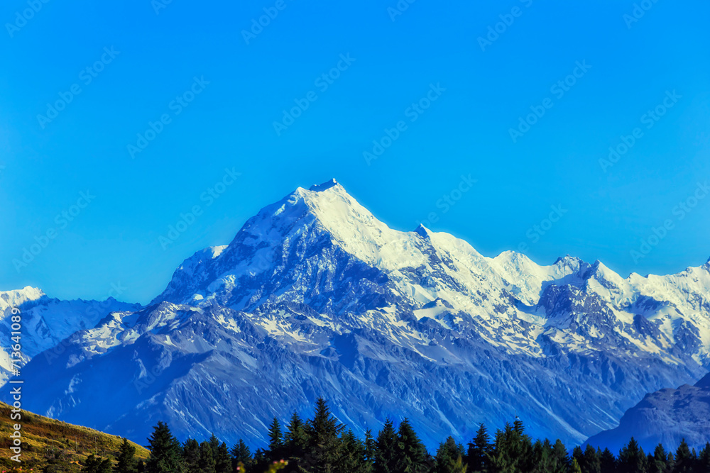 NZ Mt Cook peak over forest