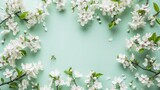 Spring floral background, pattern and wallpaper. Flat-lay of white almond blossom flowers wreath over light mint background, top view, copy space. Womens holiday greeting card or wedding invitation
