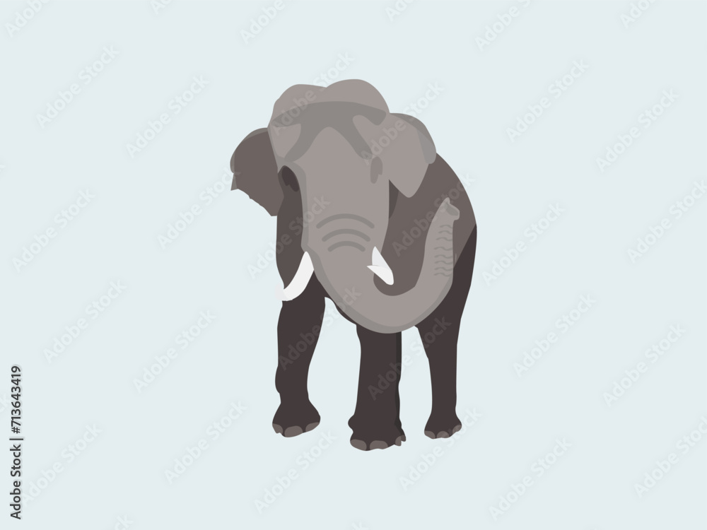 Fototapeta premium African elephant Indian elephant vector head lodge gray standing animals wild