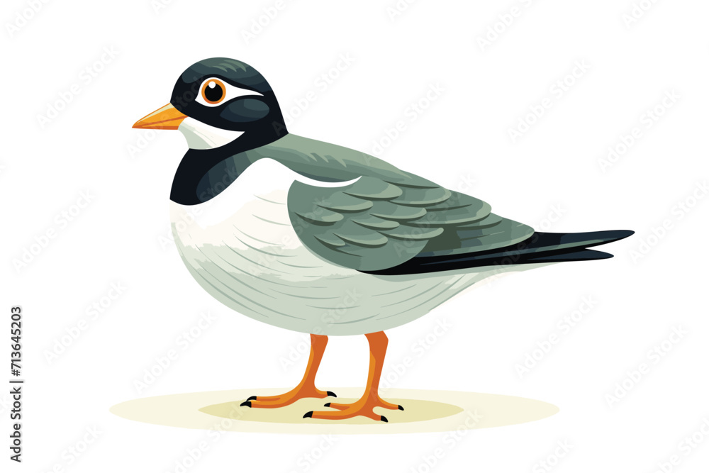 Naklejka premium Vector art illustration Hummin bird Penguin narrow Falcon Swan Heron Woodpecker Seagull Blue Jay Cardinal Peacock Vulture Albatross Kiwi Kingfisher Canary Wren Magpie Osprey feather generative ai 