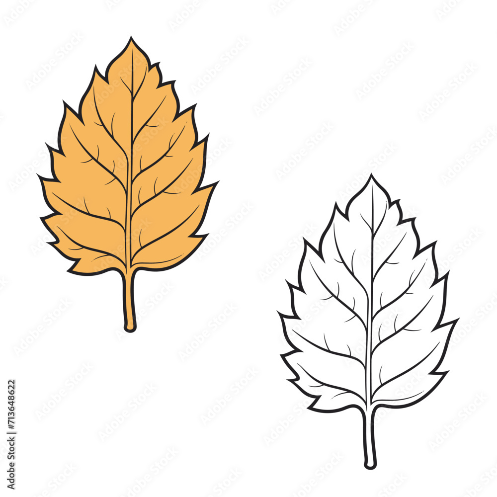 a Fall Leaf vector illustrations. Leaves Fall. Drawing  with line art.  Simple Design Outline Style. You can give color you like