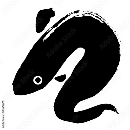 freshwater eel