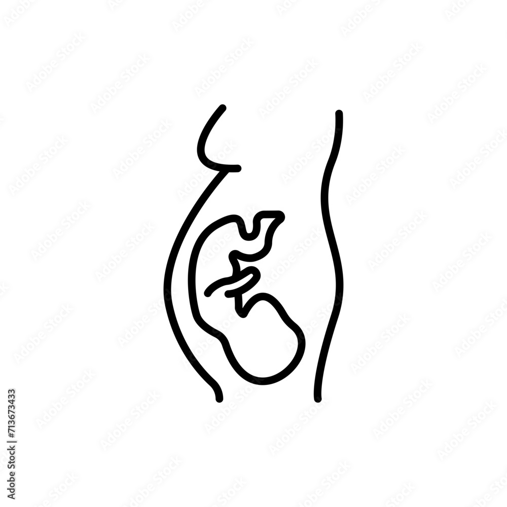 Pregnant outline icons, minimalist vector illustration ,simple transparent graphic element .Isolated on white background
