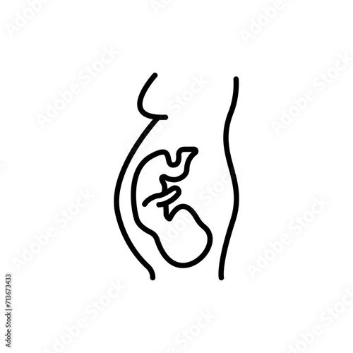 Pregnant outline icons, minimalist vector illustration ,simple transparent graphic element .Isolated on white background