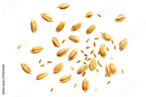 Wheat-themed background and pattern featuring wheat ears