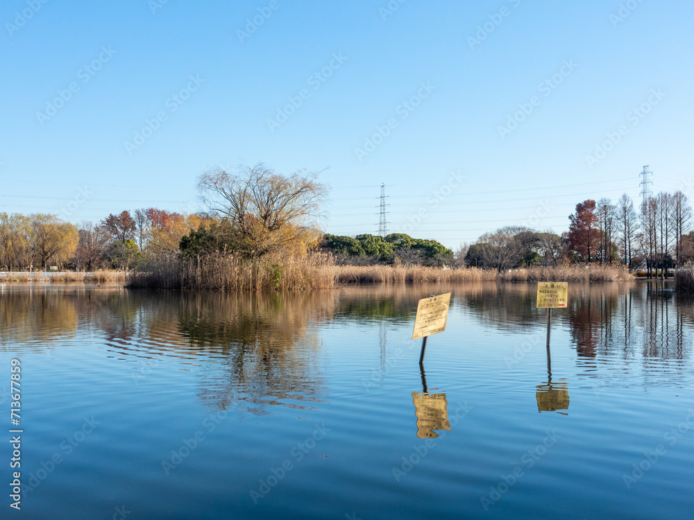 Fototapeta premium 【東京都】冬の舎人公園