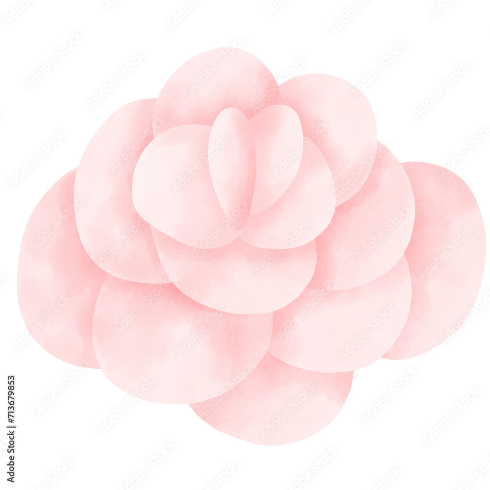 Fototapeta premium Flowers 