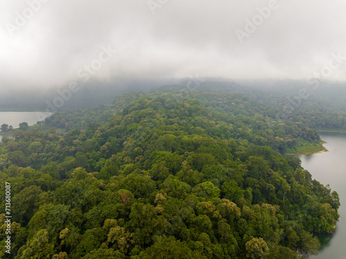Dense forest in fog and clouds  mountains of Bali near Munduk  Indonesia