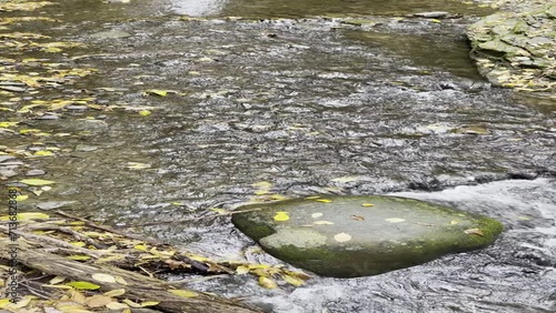 Beautiful and calming stream with stones in the water.
