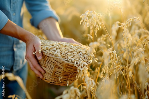 Close-up shot of the farmer's hands with a basket of oats, surrounded by the lush green oat field. Warm natural sunlight and a hint of blurred farm background for depth.  photo