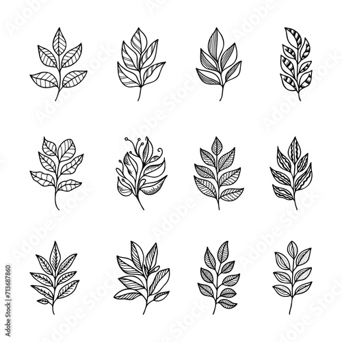 Hand drawn vector design floral elements