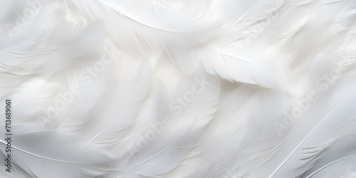 White feather background,Soft Serenity: Delicate White Feathers Texture,Aerial Grace: Seamless White Feather Pattern  © Umair