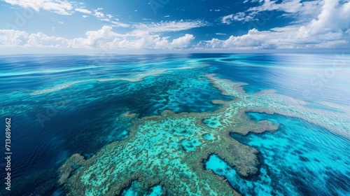Aerial View of Vibrant Coral Reef in