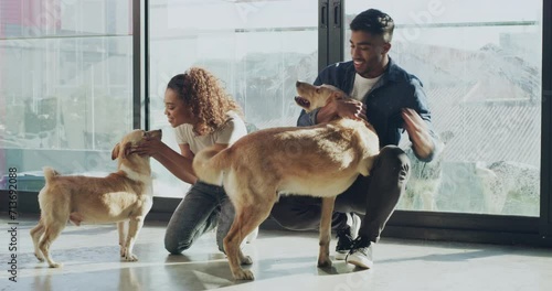 Man, woman and dogs playing on shelter floor for animal adoption, attention and care. Puppy, couple and love at pet center with empathy, choice and decision to adopt at charity with loyalty and trust photo