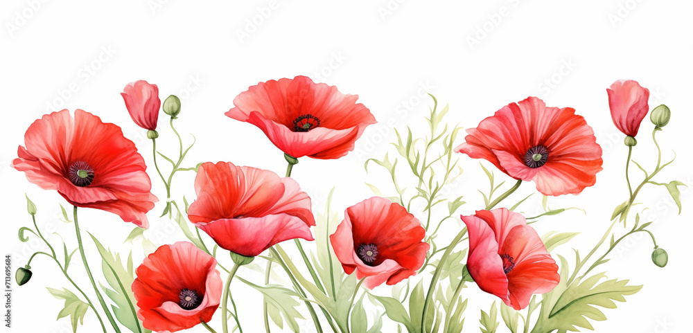 Red poppies banner, copy space, floral wallpaper soft watercolor illustration for invitation / card making / wedding invitation for spring or mother's day celebration
Red poppies banner, copy space, floral wallpaper soft watercolor illustration for invitation / card making / wedding invitation for spring or mother's day celebration