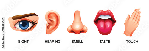 Five human senses vector illustration. Sight, hearing, smell, taste and touch