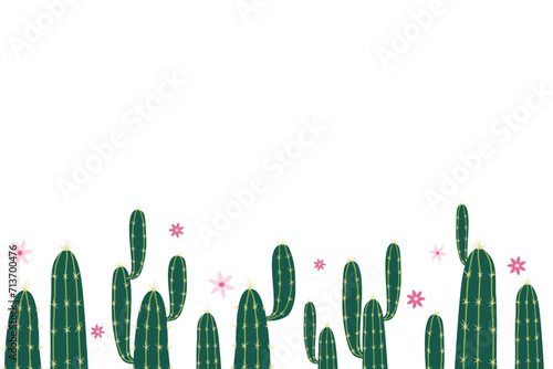 green cactus isolated on white background