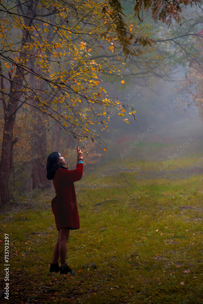 woman taking a photograph in the forest woman taking a photograph in the forest