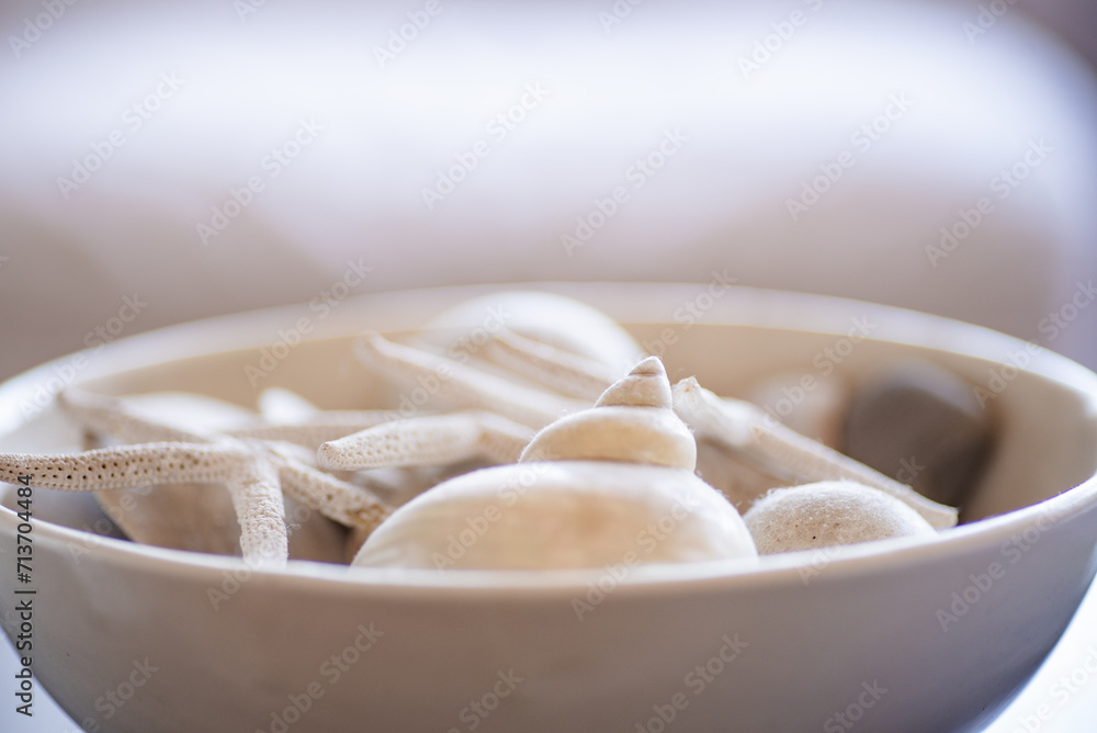 Seashells, Tasteful, Arrangement, Home Decor, Interior Design Seashells, Tasteful, Arrangement, Home Decor, Interior Design