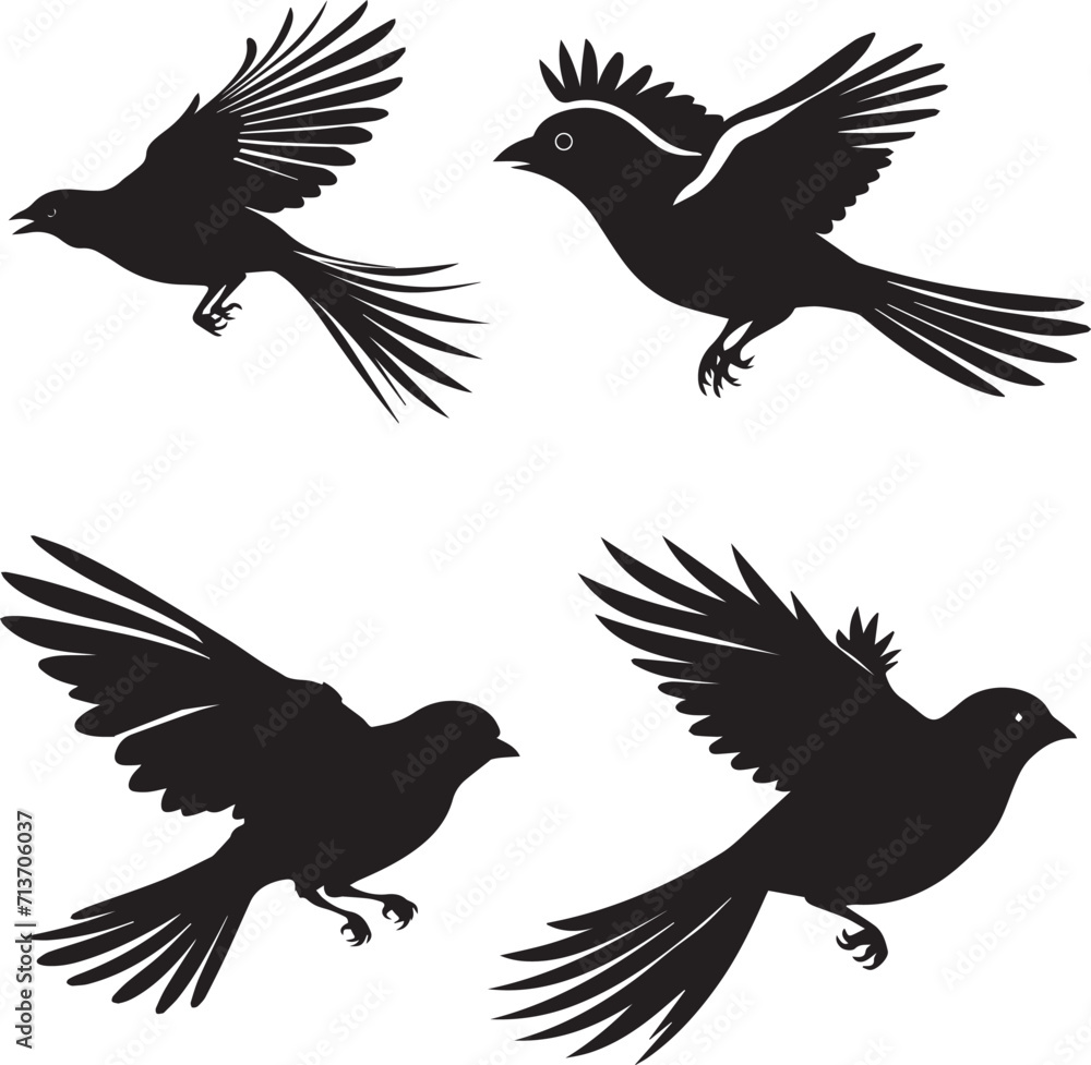 Set of Finch Flying Black Silhouette on white background