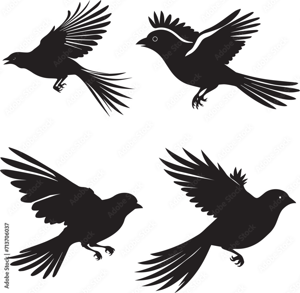 Set of Finch Flying Black Silhouette on white background Set of Finch Flying Black Silhouette on white background
