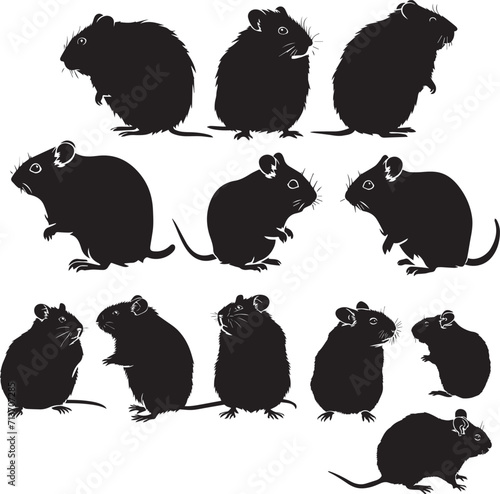 Set of Hamsters black silhouettes