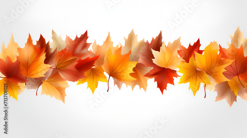 Autumn maple leaves,Bright colorful autumn leaves 