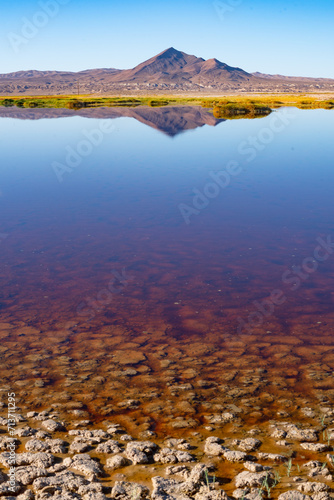 Tecopa Mountain, Panoramic View, Desert Oasis, Reflection. Death Valley Natl Park, Flawless Water Reflection