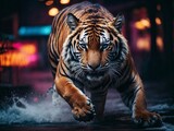 tiger in the zoo Jumping Tiger in neon lights 