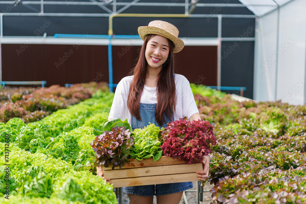 Female gardener holds wood box of fresh salad produced from hydroponic system in hydroponics garden