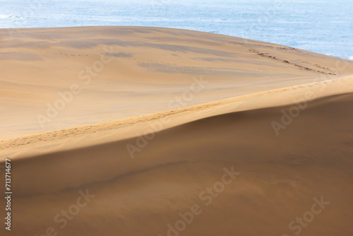             sand dunes  vast dune hills   