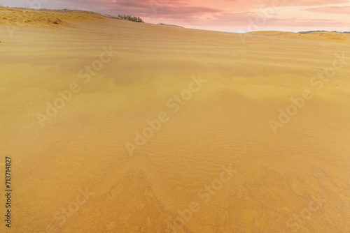             sand dunes  vast dune hills   