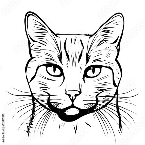 Cat Head Line Art Illustration