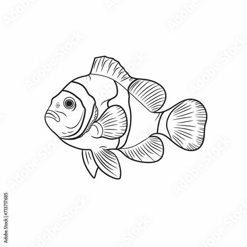 Clown Fish Line Art Illustration
