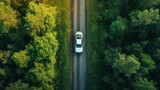 A car on the road, forest environment, top view. Travel concept.