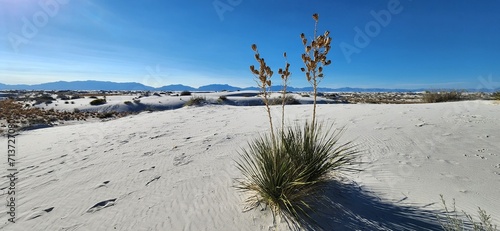 A scenic landscape view of White Sands National Park in New Mexico.