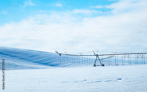 Next Season's crop sleeping snug under a blanket of Snow 