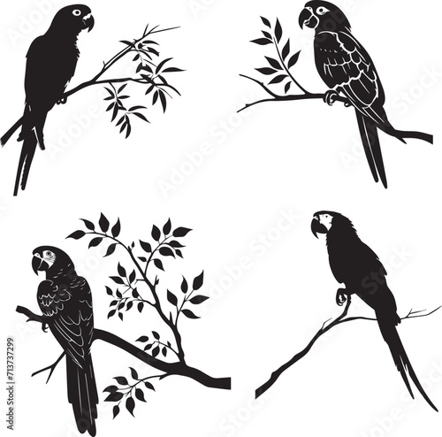 Set of Parrot on branch black silhouette on white background  photo