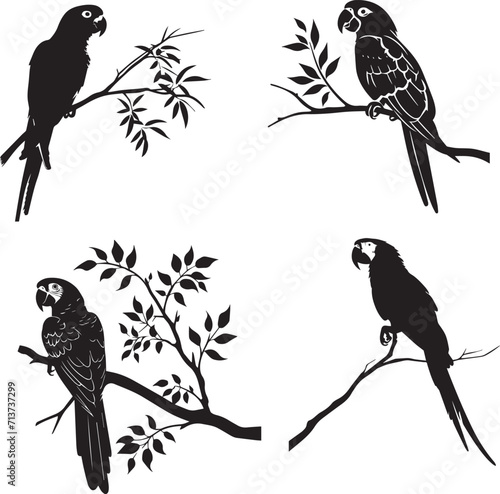 Set of Parrot on branch black silhouette on white background 