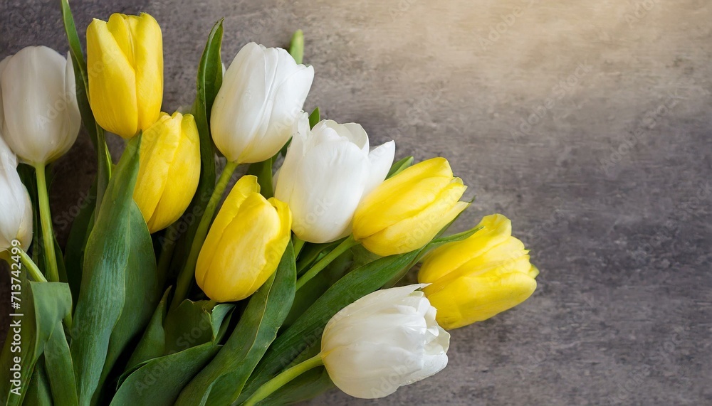 Fototapeta premium a beautiful bouquet of white and yellow tulips in the upper left corner. Reserve an open area for personalized congratulatory text, making it a perfect card for various occasions.